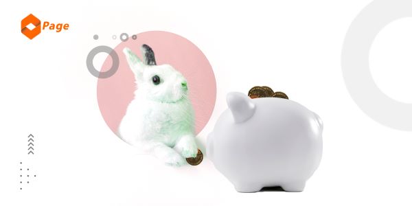 4 Money Lessons We Can Learn from Rabbits