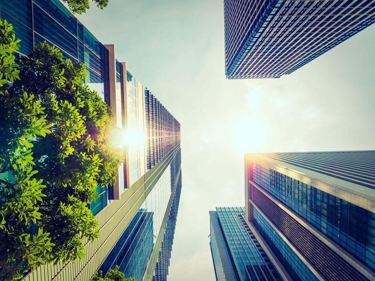 Sustainable city