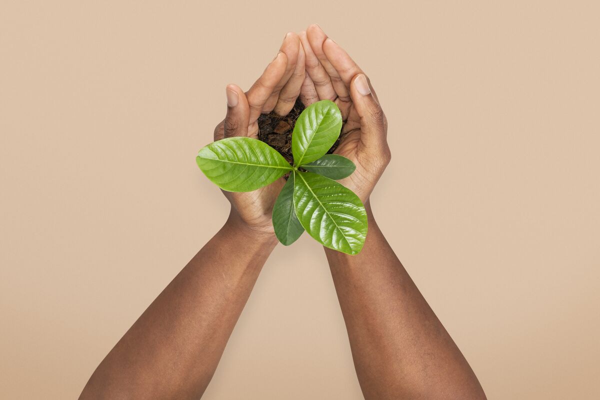 Sustainable growth